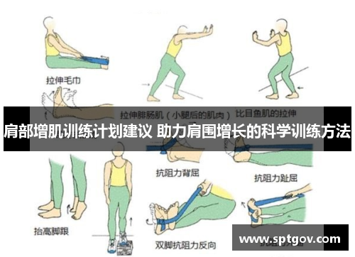 肩部增肌训练计划建议 助力肩围增长的科学训练方法