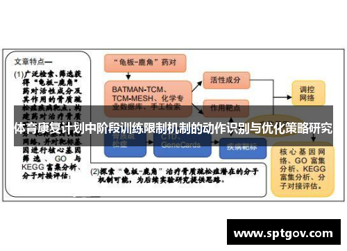 体育康复计划中阶段训练限制机制的动作识别与优化策略研究