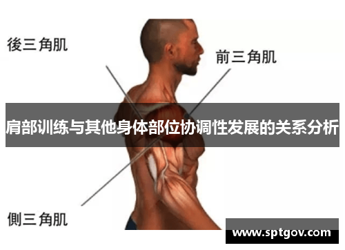 肩部训练与其他身体部位协调性发展的关系分析